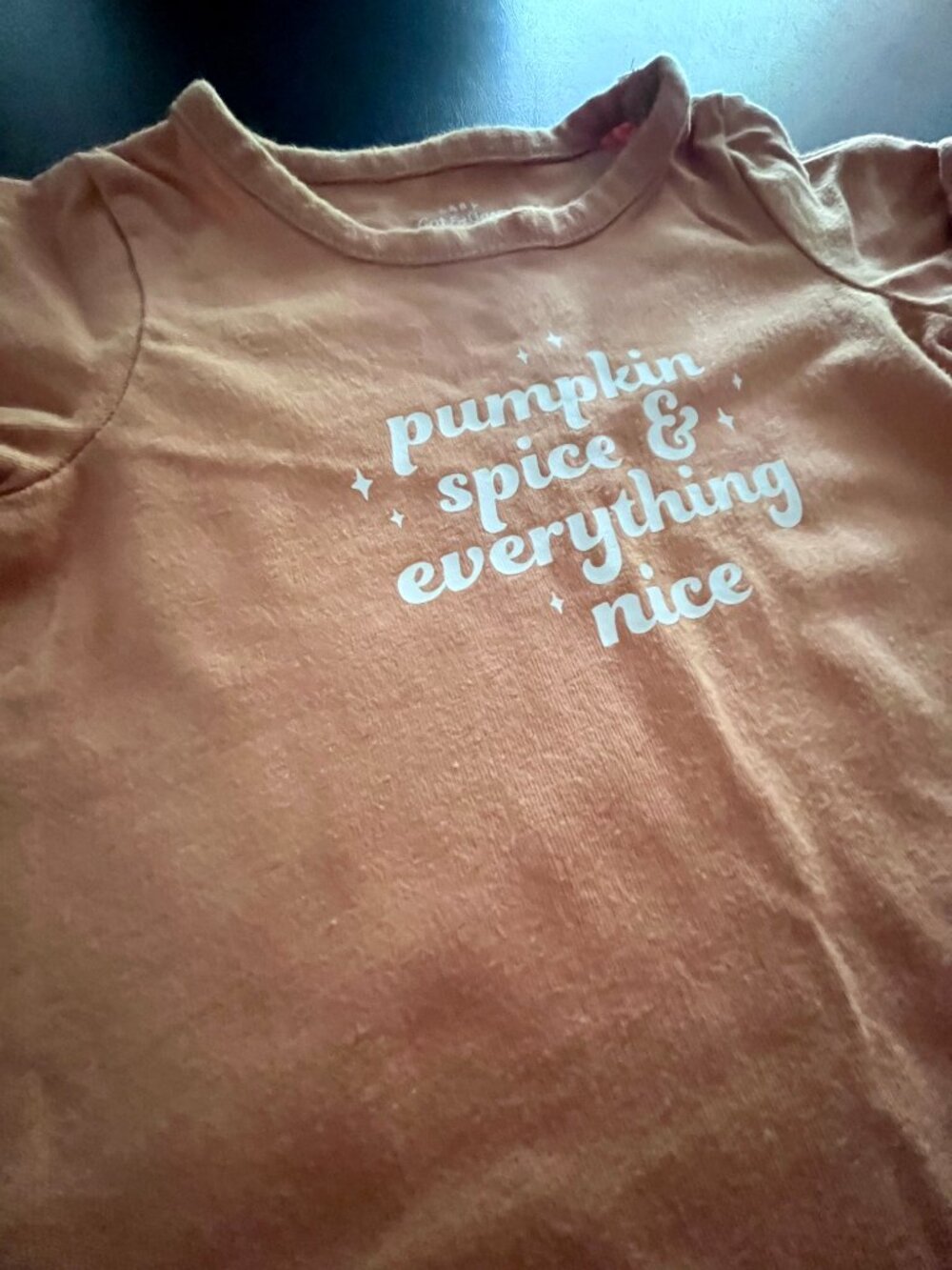 Baby Girl Pumpkin Onesies, Fall LOT, Set of 4, 3-6 Months - Picture 10 of 10